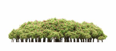 group of trees with a shadow on the ground, isolated on a white background, trees in the forest, 3D illustration