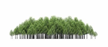 group of trees with a shadow on the ground, isolated on a white background, trees in the forest, 3D illustration