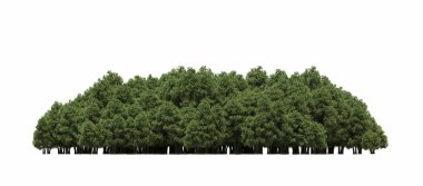group of trees with a shadow on the ground, isolated on a white background, trees in the forest, 3D illustration