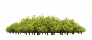 group of trees with a shadow on the ground, isolated on a white background, trees in the forest, 3D illustration