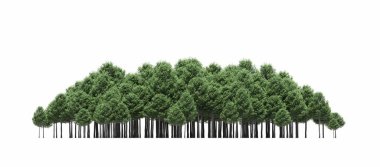 group of trees with a shadow on the ground, isolated on a white background, trees in the forest, 3D illustration