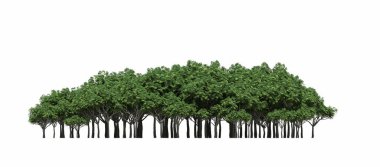 group of trees with a shadow on the ground, isolated on a white background, trees in the forest, 3D illustration