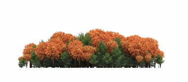 group of trees with a shadow on the ground, isolated on a white background, trees in the forest, 3D illustration