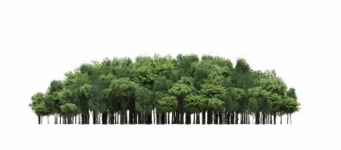 group of trees with a shadow on the ground, isolated on a white background, trees in the forest, 3D illustration