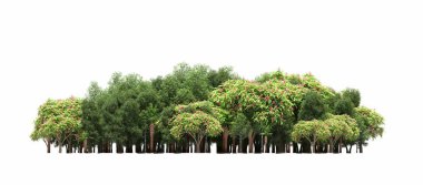 group of trees with a shadow on the ground, isolated on a white background, trees in the forest, 3D illustration