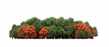 group of trees with a shadow on the ground, isolated on a white background, trees in the forest, 3D illustration