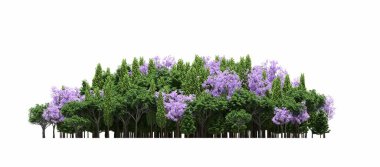 group of trees with a shadow on the ground, isolated on a white background, trees in the forest, 3D illustration