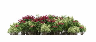 group of trees with a shadow on the ground, isolated on a white background, trees in the forest, 3D illustration