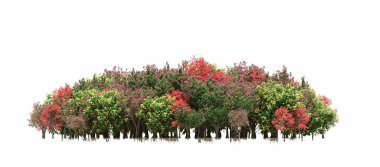 group of trees with a shadow on the ground, isolated on a white background, trees in the forest, 3D illustration