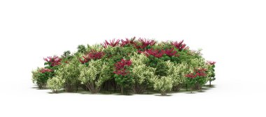 group of trees with a shadow on the ground, isolated on a white background, trees in the forest, 3D illustration