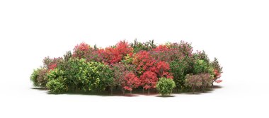 group of trees with a shadow on the ground, isolated on a white background, trees in the forest, 3D illustration