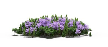 group of trees with a shadow on the ground, isolated on a white background, trees in the forest, 3D illustration