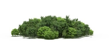 group of trees with a shadow on the ground, isolated on a white background, trees in the forest, 3D illustration