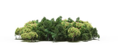 group of trees with a shadow on the ground, isolated on a white background, trees in the forest, 3D illustration