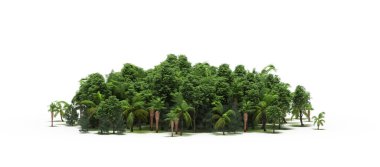 group of trees with a shadow on the ground, isolated on a white background, trees in the forest, 3D illustration