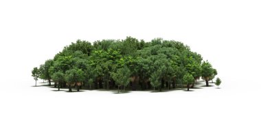 group of trees with a shadow on the ground, isolated on a white background, trees in the forest, 3D illustration
