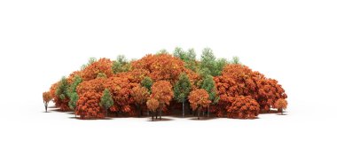 group of trees with a shadow on the ground, isolated on a white background, trees in the forest, 3D illustration