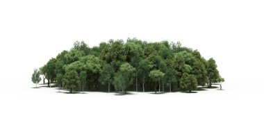 group of trees with a shadow on the ground, isolated on a white background, trees in the forest, 3D illustration