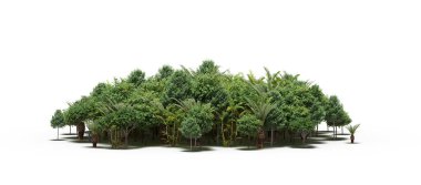 group of trees with a shadow on the ground, isolated on a white background, trees in the forest, 3D illustration