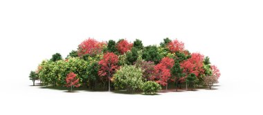 group of trees with a shadow on the ground, isolated on a white background, trees in the forest, 3D illustration
