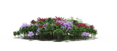 group of trees with a shadow on the ground, isolated on a white background, trees in the forest, 3D illustration