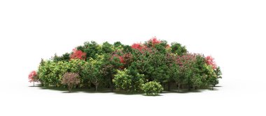 group of trees with a shadow on the ground, isolated on a white background, trees in the forest, 3D illustration