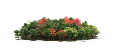 group of trees with a shadow on the ground, isolated on a white background, trees in the forest, 3D illustration