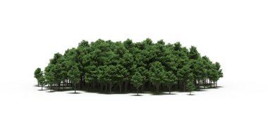 group of trees with a shadow on the ground, isolated on a white background, trees in the forest, 3D illustration
