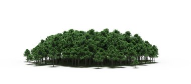 group of trees with a shadow on the ground, isolated on a white background, trees in the forest, 3D illustration