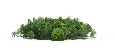 group of trees with a shadow on the ground, isolated on a white background, trees in the forest, 3D illustration