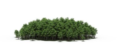 group of trees with a shadow on the ground, isolated on a white background, trees in the forest, 3D illustration