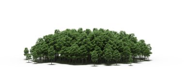 group of trees with a shadow on the ground, isolated on a white background, trees in the forest, 3D illustration