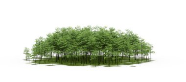 group of trees with a shadow on the ground, isolated on a white background, trees in the forest, 3D illustration