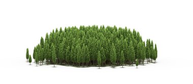group of trees with a shadow on the ground, isolated on a white background, trees in the forest, 3D illustration