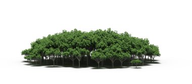 group of trees with a shadow on the ground, isolated on a white background, trees in the forest, 3D illustration