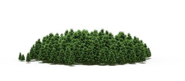 group of trees with a shadow on the ground, isolated on a white background, trees in the forest, 3D illustration