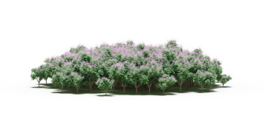 group of trees with a shadow on the ground, isolated on a white background, trees in the forest, 3D illustration