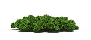group of trees with a shadow on the ground, isolated on a white background, trees in the forest, 3D illustration
