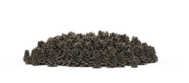 group of trees with a shadow on the ground, isolated on a white background, trees in the forest, 3D illustration