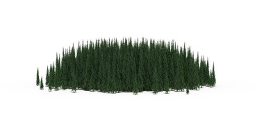 group of trees with a shadow on the ground, isolated on a white background, trees in the forest, 3D illustration