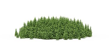 group of trees with a shadow on the ground, isolated on a white background, trees in the forest, 3D illustration