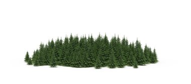 group of trees with a shadow on the ground, isolated on a white background, trees in the forest, 3D illustration