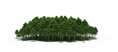 group of trees with a shadow on the ground, isolated on a white background, trees in the forest, 3D illustration