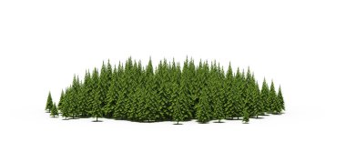 group of trees with a shadow on the ground, isolated on a white background, trees in the forest, 3D illustration