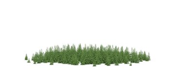 group of trees with a shadow on the ground, isolated on a white background, trees in the forest, 3D illustration