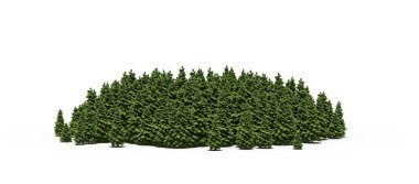 group of trees with a shadow on the ground, isolated on a white background, trees in the forest, 3D illustration