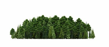 group of trees with a shadow on the ground, isolated on a white background, trees in the forest, 3D illustration