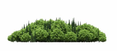 group of trees with a shadow on the ground, isolated on a white background, trees in the forest, 3D illustration