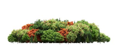 group of trees with a shadow on the ground, isolated on a white background, trees in the forest, 3D illustration