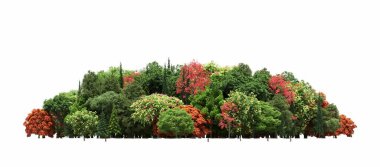 group of trees with a shadow on the ground, isolated on a white background, trees in the forest, 3D illustration